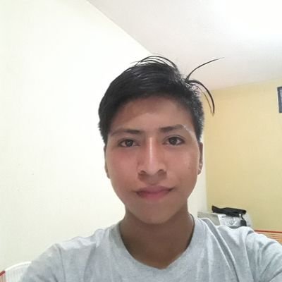 Profile Picture of Alexander Jacinto Peréz (@AlexanderJaci20) on Twitter