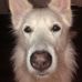 Profile Picture of Tyler Senecal (@tyler.senecal.543) on Facebook