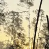 Profile Picture of Leah Palmer (@@leahpalmer) on Tiktok