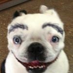 Profile Picture of ha ha (@margo.babb) on Instagram