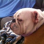 Profile Picture of Richard Pickens (@richardpickens007) on Instagram