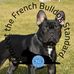Profile Picture of Laszlo Istvan (Best Oradinum Kennel) (@laszlo.istvan.395) on Facebook