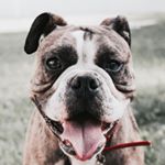 Profile Picture of M I L O (@milo.james) on Instagram