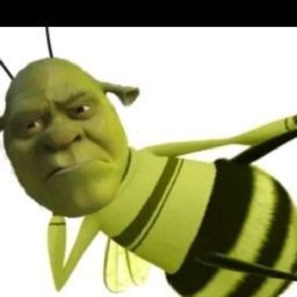 Profile Picture of Annika Crouter (@annikacrouter2) on Poshmark