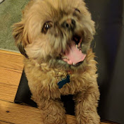 Profile Picture of Patrick Bui (@patrickbui4704) on Youtube