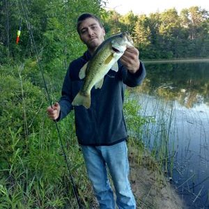 Profile Picture of Bryant Haney (@rumple989) on Twitter