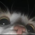 Profile Picture of kevin (@buggsy99) on Instagram