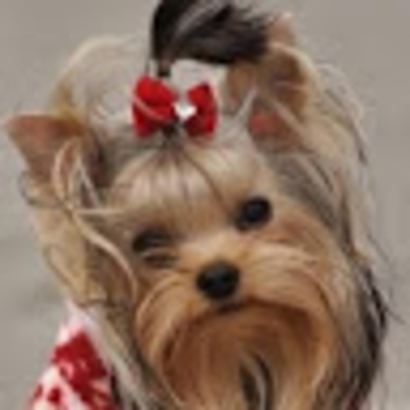 Profile Picture of Rose Weber (@roseweber650) on Poshmark