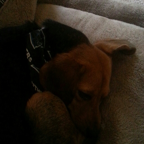 Profile Picture of Miranda Mccall (@lilredmiranda) on Poshmark