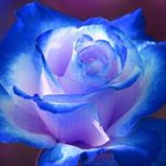 Profile Picture of Parsa Moradi (@hassan.moradi.562) on Instagram