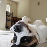 Profile Picture of Ken Sato (@ken-sato-6) on Quora