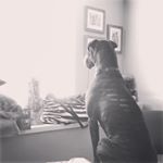 Profile Picture of Jeremy Goodrich (@jeremy_goodrich) on Instagram
