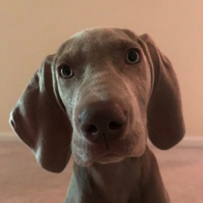 Profile Picture of Jon Kreps (@JonKreps) on Twitter