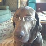 Profile Picture of Jonathan Gunter (@gozags21) on Instagram