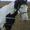 Profile Picture of paintmax101 (@paintmax101) on Flickr