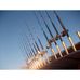Profile Picture of David Grassi (@david.grassi.52056) on Facebook