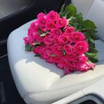 Gandelman Alexander - Instagram Profile Picture of Gandelman Alexander (@gandelman134) on Instagram