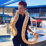 Profile Picture of Brian Logan (@darkgoldblade01) on Instagram