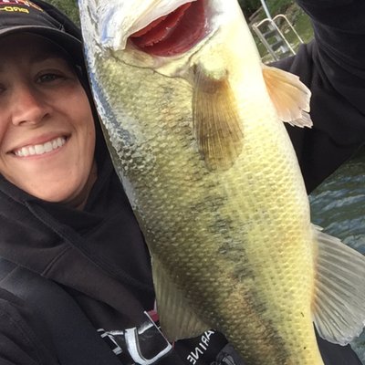 Profile Picture of Cindy Adler (@cadler87) on Twitter