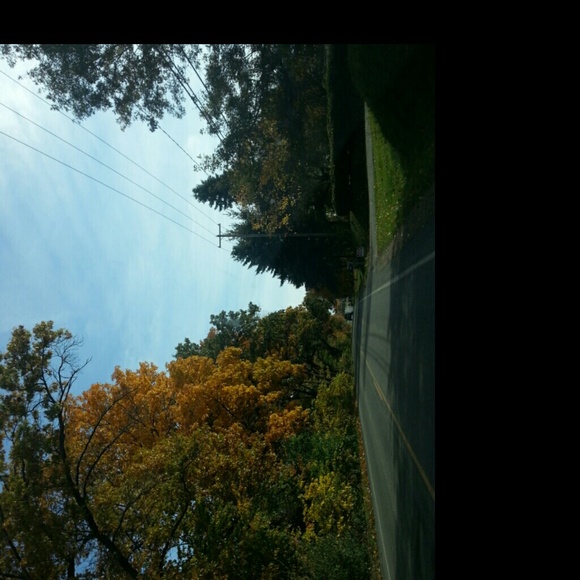 Profile Picture of Pamela Sage (@sunshine284) on Poshmark