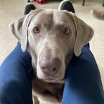 Profile Picture of Jana Utley (@jana.utley) on Facebook