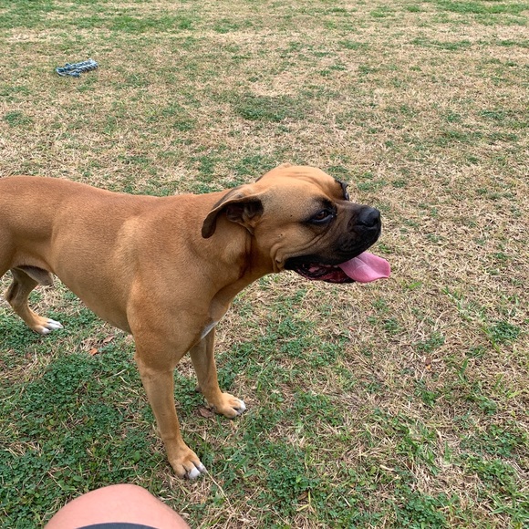 Profile Picture of Omar Perales (@bigomar659) on Poshmark