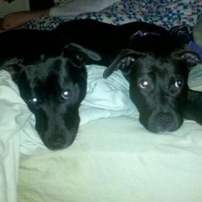 Profile Picture of Mandy Pfeffer (@Mandyfef512) on Twitter