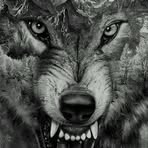 Profile Picture of Kenny Chilcoat (@kenny.chilcoat.1) on Facebook