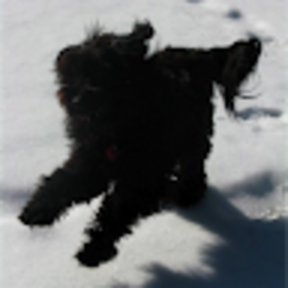 Profile Picture of Q. Cassetti (@q_cassetti) on Poshmark