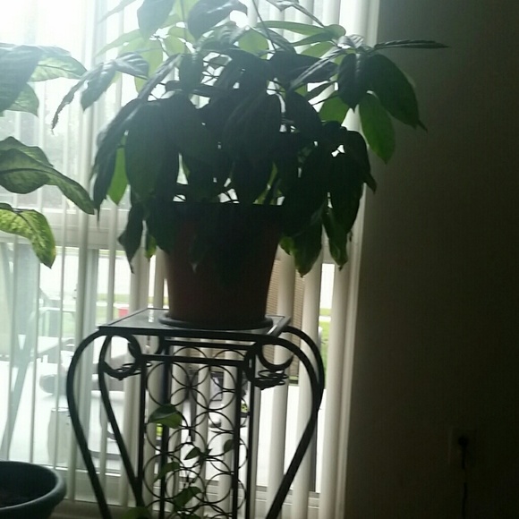 Valerie Bryant - Poshmark Profile Picture of Valerie Bryant (@boyzroom) on Poshmark