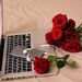 Profile Picture of Syeda Asna Maryam (@asna2001) on Pinterest
