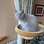 Profile Picture of Olga Plotkina (@plotkina_vassia) on Instagram