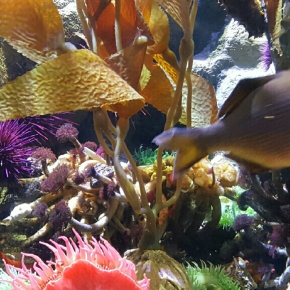 Profile Picture of Meenakshi Khosla (@meenakshik1993) on Poshmark