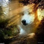 Profile Picture of Geraldine Condon (@geraldine.condon.37) on Instagram