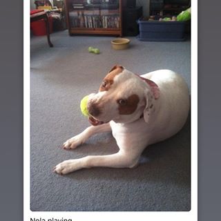 Profile Picture of Bart Ruggiero (@bart.ruggiero) on Facebook