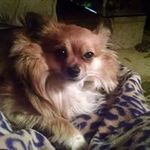 Profile Picture of Debbie Maffia (@debbiemaffia) on Instagram