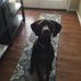 Profile Picture of Jody Meier (@jody.meier.7) on Facebook