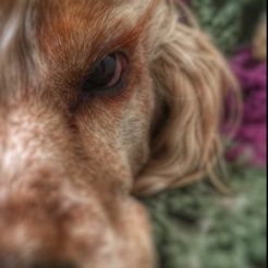 Profile Picture of Marty Leach (@martyrleach) on Pinterest