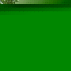 Profile Picture of Travis Mader (@394510024) on Myspace