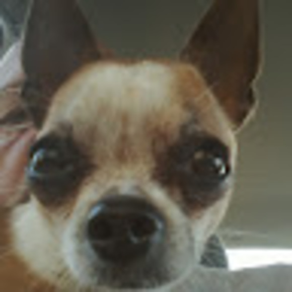 Profile Picture of Randy Lanham (@rlanham652) on Poshmark