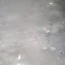 Profile Picture of Lynn Winslate (@Lynn-Winslate) on Facebook