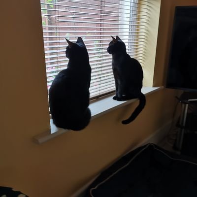 Profile Picture of John Walsh (@JohnWal31550498) on Twitter