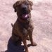 Profile Picture of Hank Fields (@hank.fields.921) on Facebook