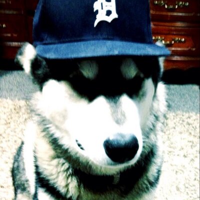 Profile Picture of Joshua Hein (@jhein9) on Twitter