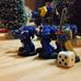 Profile Picture of Thomas Senechal (@thomas.senechal.75) on Facebook