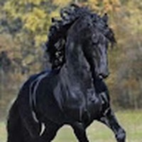 Profile Picture of Felix Floyd (@felix-floyd-1) on Quora