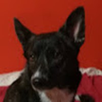 Profile Picture of Kamil Pieczykolan (@kamil-pieczykolan) on Quora