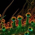 Profile Picture of Robert (@satoricannabisconsulting) on Instagram