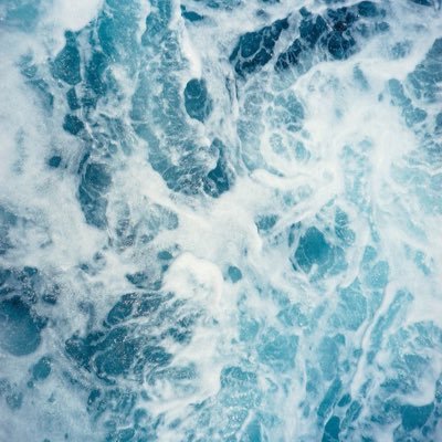 Profile Picture of Whitney Patterson (@Whitney34596011) on Twitter