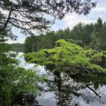 Profile Picture of Joseph Ruta (@sipsauce_dorite) on Instagram